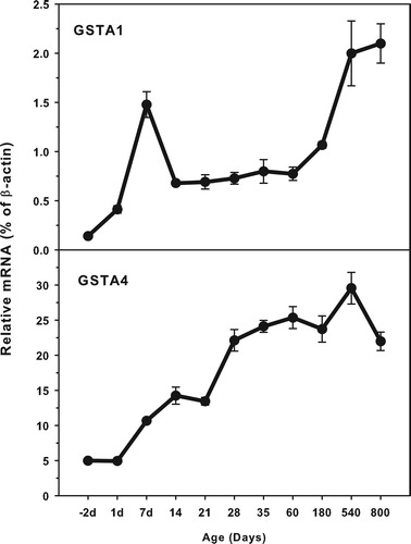 Figure 1. Age-related expression of GSTA1 and GSTA4 in livers of rats. Livers from male SD rats at the fetus (−2 d before birth), the neonatal stage (1, 7, 14 and 21 d after birth), at puberty (28 and 35 d), at adult (60 and 180 d), and at aging (540 and 800 d), were collected to extract RNA. Expression of GST-A1 and GST-A4 was determined by real-time RT-PCR (n = 6 for each time point).