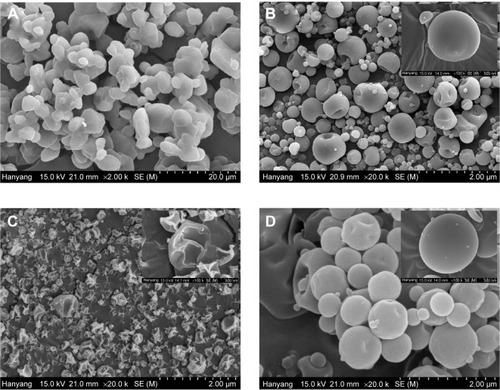 Figure 5 Scanning electron micrographs.Notes: (A) Fenofibrate powder (×2,000), (B) PVP nanospheres (×20,000), (C) HP-β-CD nanocorpuscles (×20,000), and (D) gelatin nanocapsules (×20,000).Abbreviations: PVP, polyvinylpyrrolidone; HP-β-CD, hydroxypropyl-β-cyclodextrin.