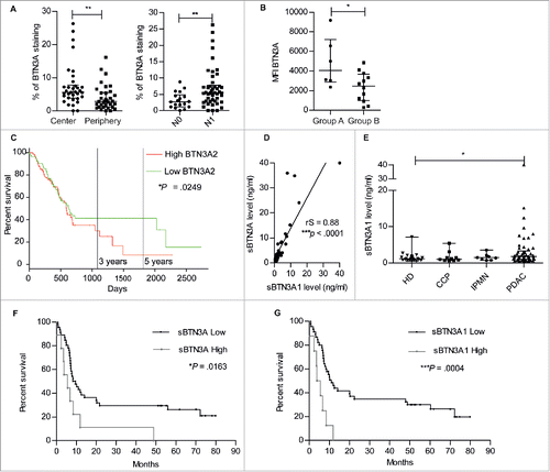 Figure 6. Surface BTN3A expression, BTN3A2 gene expression and soluble BTN3A levels are prognosis marker in patients with Pancreatic Ductal AdenoCarcinoma (PDAC). (A) The median percentage of BTN3A staining was higher in the center than in the periphery of the PDAC Tissue Multi Array (n = 34) (left panel). The median percentage of BTN3A staining was higher in the group of pancreatic tumors with lymph node involvement (N1) compared with the group devoid of lymph node involvement (N0) (n = 32) (right panel). Results were expressed as median percentages ± range. Paired-t test was used to compare differences between the center and the periphery of the tumor and Mann Whitney U test between N0 and N1 groups. 0.001 <**p < 0.01. (B) BTN3A surface expression assessed in PDX-derived cell lines classified in 2 groups: A/short-term survival group (overall survival (OS) ≤ 8 months; n = 6) and B/ long-term survival group (OS > 8 months; n = 12). Surface expression was quantified by Median Fluorescence Intensity minus matched control isotype (MFI). Results are shown as median ± range. (C) Comparative overall survival in patient with respect to BTN3A2 gene expression. The cohort was divided at median of BTN3A2 expression: BTN3A2 Low (n = 85) and BTN3A2 High (n = 85). Data were obtained from TCGA public database. *p <0.05. (D) Correlation between sBTN3A concentrations assessed with “pan-BTN3A” ELISA or “BTN3A1-specific” ELISA in the plasma of PDAC patients' plasmas (n = 45). Data are shown in ng/ml. The correlation was established using the nonparametric Spearman correlation coefficient (rs). ***p < 0.001. (E) Comparative dosage of sBTN3A1 concentration in Healthy Donors (HD) (n = 22), patients with Chronic Calcific Pancreatitis (CCP) (n = 10), Intraductal Papillary Mucinous Neoplasm (IPMN) (n = 8) and PDAC (n = 54). sBTN3A1 levels were assessed by ELISA in the plasma of subjects. Data were expressed in ng/ml, and median concentration of sBTN3A1 ± interquartile range. Significance was established using non-parametric Mann Whitney Test. *p < 0.05. (F, G) Comparative survival in PDAC patients according to (F) sBTN3A (n = 55) and (G) sBTN3A1 dosage (n = 53). Kaplan-Meier curves showing overall survival: (F) in patients with Low sBTN3A (< 8 ng/ml) or High sBTN3A levels (< 8 ng/ml) and (G) in patients with Low sBTN3A1 levels (< 6 ng/ml) or High sBTN3A1 levels (>6 ng/ml). Statistical significance was established with Log-rank (Mantel-Cox) Test. *p <0.05; ***p < 0.0005.