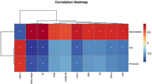 Figure 7 The correlation analysis matrix between related factors and intestinal flora changes in T2DM mice was based on the Pearson correlation value. *P < 0.05, **P < 0.01 indicates significant correlation.