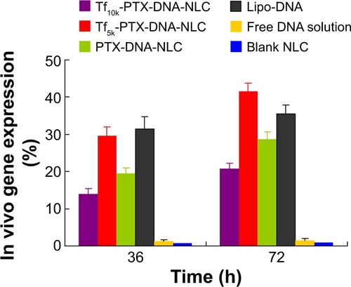 Figure 8 Flow cytometry analysis of in vivo gene transfection.Notes: Significantly higher transfection efficiency was observed in Tf5k-PTX-DNA-NLC and Lipo-DNA than other formulations at both 36 hours and 72 hours after transfection (P<0.05). At 36 hours, the transfection efficiency of Tf5k-PTX-DNA-NLC was similar to that of Lipo-DNA complexes, while higher transfection efficiency was obtained at 72 hours when compared with Lipo-DNA (P<0.05). Tf10k-PTX-DNA-NLC did not exhibit good in vivo gene transfection ability at either 36 or 72 hours; the data were indicative of poorer efficiency than data obtained from non-decorated PTX-DNA-NLC.Abbreviations: h, hours; DNA, deoxyribonucleic acid; NLC, nanostructured lipid carriers; Lipo-DNA, Lipofectamine®-DNA complexes; PTX-DNA-NLC, paclitaxel-and deoxyribonucleic acid-loaded nanostructured lipid carriers; Tf5k-PTX-DNA-NLC, transferrin-conjugated polyethylene glycol 5000-phosphatidylethanolamine-decorated paclitaxel- and deoxyribonucleic acid-loaded nanostructured lipid carriers; Tf10k-PTX-DNA-NLC, transferrin-conjugated polyethylene glycol 10000-phosphatidylethanolamine-decorated paclitaxel- and deoxyribonucleic acid-loaded nanostructured lipid carriers.