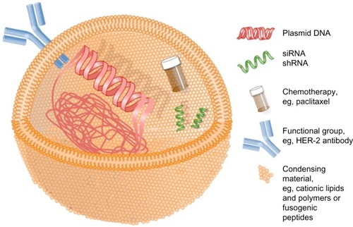 Figure 1 Simplified schematic of nonviral gene therapy delivery vehicle.