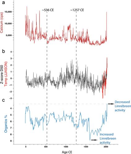 Figure 14. (a), (b), (c) Calcium, grain size D50 (µm), June to November temperature at the Svalbard airport from 1898 to 2022, and percentage organics variability extracted from the composite sequence at mooring C (Figures 1c, 1d: green circle). Vertical dashed lines indicate timing of sudden shifts in the record that may potentially be associated with the abrupt cooling documented following the eruption of an unknown volcano (536 CE), as well as the eruption of the Samalas volcano (1257 CE). The chronology being analyzed encompasses a period of ~2,000 years.