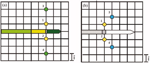 Figure 2. Location of the fiber optic thermal sensors relative to the MWA antenna axis (center of grid) for the (a) 902–928 MHz system and the (b) 2450 MHz system.