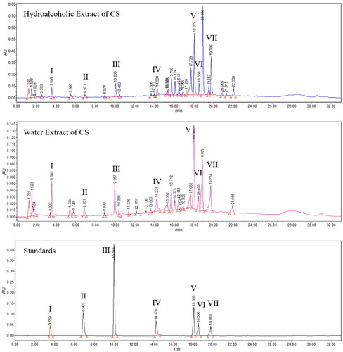 Figure 1. Identification of seven chemicals in Clerodendranthus spicatus using standard compounds. I: salvianic acid A, II: protocatechualdehyde, III: caffeic acid, IV: cichoric acid, V: rosmarinic acid, VI: lithospermic acid and VII: salvianolic acid B.