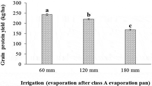 Figure 15. Effect of irrigation on grain protein yield of sorghum. Values represent means ± SE. Different letters indicate significant differences using LSD test (P <.05)