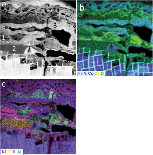 Figure 6. (a) HAADF STEM image (Table 2 EDS locations indicated), EDS composite maps (b) & (c) showing the complex nature of the corrosion products in a prior salt ring wall and the preferential attack of γʹ. (2-hour exposure).