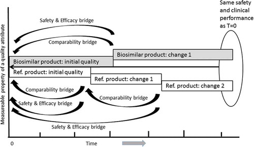 Figure 4. Demonstration of comparability following manufacturing changes allows maintenance of clinical performance. An example diagram showing the theoretical impact of manufacturing changes on a measurable property of a biosimilar product and reference product (Ref.) over time. While multiple changes over time may result in divergent abundance of a measurable property, the comparability exercise establishes that there are no clinically meaningful difference in the products and allows bridging to the original safety and efficacy established upon product approval. It should be noted that the concept illustrated in this Figure applies equally to the life-cycle management of originator and biosimilar drugs as well as to products known in the US as ‘interchangeable biologics’ (biosimilars that can be substituted by a pharmacist without first obtaining approval from the prescribing physician).