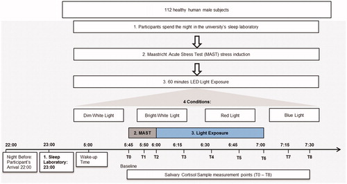 Figure 1. Study design and cortisol measurement points.