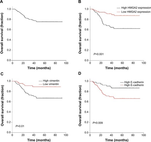 Figure 2 (A) Kaplan–Meier survival curves of overall survival in 124 patients with NPC and overall survival curves based on (B) HMGA2, (C) vimentin, and (D) E-cadherin expression levels.