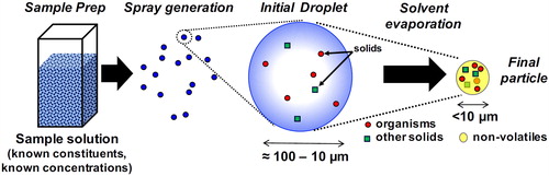 Figure 1. The process of bioaerosol generation from a liquid sample microdroplet dispersion is depicted schematically from left to right. Droplets formed from a homogeneous suspension, result in individual particle compositions that reflect the relative proportions of the original sample.