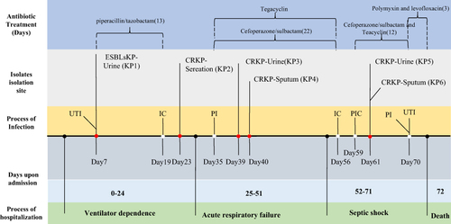 Figure 1 Timeline to summarize the case history of the patient admission, treatment, and isolate collection.