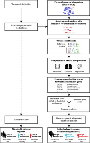 Figure 1. Integration of next generation sequencing data into therapeutic decision-making. Conventional treatment incorporates clinical, demographic and other patient-specific data without however utilizing information about the patient’s genotype (left column). In contrast, pharmacogenetically-guided treatment incorporates genetic information to individualize the drug and dosing regimen (right column). To this end, the patient-specific variant profile is identified from whole exome or whole genome sequencing data (WES and WGS, respectively). Known variants are interpreted based on available guidelines, whereas rare and novel variations with unknown functional consequences are estimated using quantitative computational prediction algorithms specifically trained on pharmacogenomic data. Both known and unknown variants are then integrated into activity scores, which are further translated into individualized predictions of drug efficacy and their propensity to cause adverse drug reactions. Based on this information, individualized predictions of drug efficacy and their propensity to cause ADRs are derived, which is used as guidance for clinical treatment decisions, regarding choice of medication and dose. Figure reprinted with premission from Lauschke and Ingelman-Sundberg 2018.