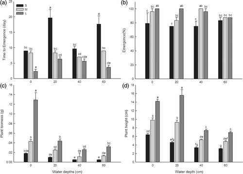 Figure 1. Mean (±SE) number of days to the first emergence (a), percent emergence (b), plant biomass (c), and plant height (d) of immature plants at different water depths (0, 20, 40, and 60 cm) for small (S), medium (M) and large (L) sized turions of M. oguraense subsp. yangtzense. Different superscript letters on each bar denote when significant differences were observed at p < 0.05 according to Duncan's multiple comparison test after ANOVA (n = 3).