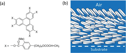 Figure 2. (Colour online) (a) example of a mesogen used in the manufacture of optical compensating film. (b) schematic of a nematic film with a hybrid orientation of the director.