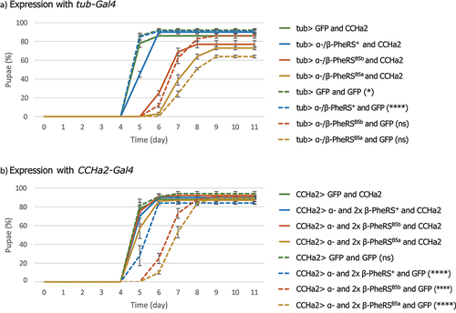 Figure 8. Rescuing the delay with CCHa2. (a) tub-Gal4 driven overexpression of combinations of GFP, α-/β-PheRSX, and CCHa2. (b) CCHa2-Gal4 driven overexpression of combinations of GFP, or 1×α- and 2×β-PheRSX, and CCHa2. All experiments were performed in triplicates with 50 larvae each. Graphs represent median ± SD. Mann-Whitney-U-Test was used to compare CCHa2 to GFP addition. p-value not significant (ns) > 0.05, * ≤ 0.05, ** ≤ 0.01, *** ≤ 0.001, **** ≤0.0001.