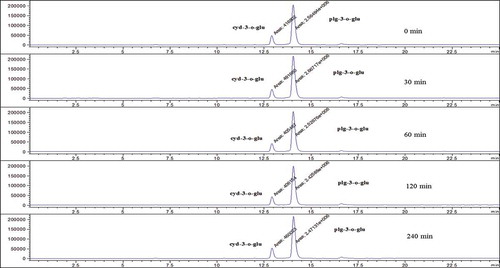 Figure 3. The obtained typical chromatograms using different extraction times for strawberry fruit.