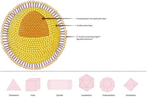 Figure 3 Schematic illustration of different shapes of a single crystalline gold nanoparticle (AuNP). Upper panel: In the simplest structure, AuNPs are commonly composed of central inner gold atoms with a closed-packed crystallographic face-centered cubic structure (domain I), surrounded by surface atoms on the outer surface of the gold atoms (domain II), which could be functionalized with an outmost layer of surface organic ligand or surfactants (domain III). The structure above is shown with a spherical shape, however, it could be also synthesized in various shapes as examples shown in 3D illustrations in the lower panel. *In the upper panel, the surface protecting ligands/surfactants were added to the posterior part of the spherical nanoparticle only for a clearer presentation of domains I and II.