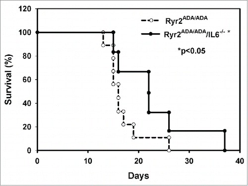 FIGURE 3. Ryr2ADA/ADA and Ryr2ADA/ADA/IL-6−/− mice survival. Mean lifetimes ± SEM of Ryr2ADA/ADA and Ryr2ADA/ADA/IL-6−/− mice of 16.9 ± 1.3 (n = 9) and 25.1 ± 3.5 (n = 7), respectively, were significantly different (p < 0.05).