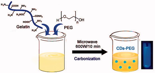 Scheme 1. A schematic illustration of the preparation procedure of PEG passivated carbon dots (CDs-PEG) through microwave carbonization.