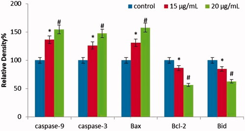 Figure 9. Anticancer effect of gold nanoparticles synthesised from Strychni semen on apoptotic gene expression in KMCH-1 Cells. This experiment was repeated thrice and the bars in the graph represent S.E. (*p < .05, #p < .01).