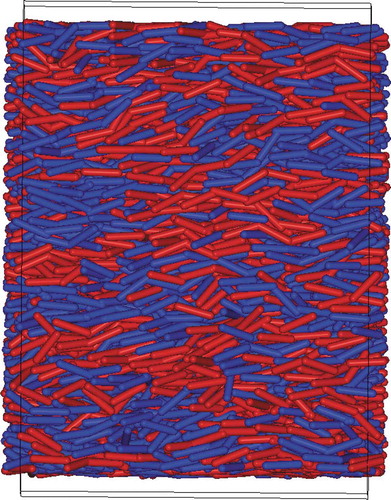 Figure 8. (Colour online) A snapshots showing chiral nanophase segregation in an achiral nematic phase (γeq=180∘) where the colour coding has been applied as blue (red) left (right) handed conformations.