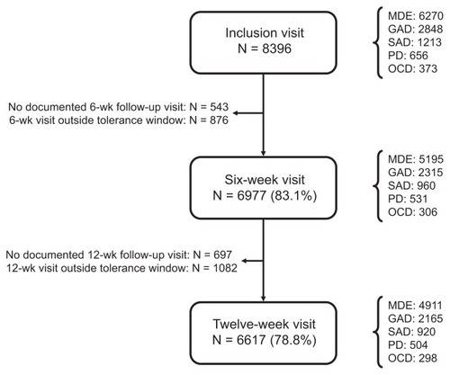 Figure 1 Patient flow through the study.