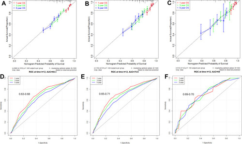 Figure 2 The calibration and performance of SNIG model in the 3 datasets. Calibration curves for predicting patient OS at each time point in the (A) training set, (B) internal validation set, and (C) external validation set, respectively. Model-predicted OS is plotted on the x-axis, and actual OS is plotted on the y-axis. A plot along the 45-degree line (dotted blue line) would indicate a perfect calibration model in which the predicted probabilities are identical to the actual outcomes. ROC curves for OS probability in the (D) training set, (E) internal validation set, and (F) external validation set, respectively.