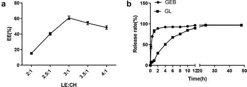 Figure 2. Study on encapsulation efficiency and release behavior of nanoliposome