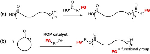 Figure 1. General strategies for chain end functionalization of aliphatic polyesters.