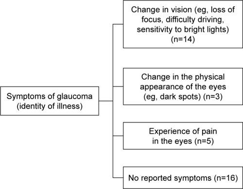 Figure 2 Thematic map of “symptoms of glaucoma”.