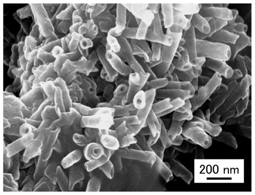 Figure 2 Field-emission scanning electron microscopy (FESEM) images of ONTs.Abbreviation: ONTs, organic nanotubes.