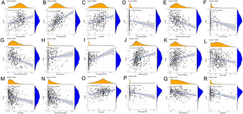 Figure 7 Association of infiltrating levels of immune cells with APOE expression in the low-risk group. (A-G) Relationship between each TIC and APOE expression in CESC. (H-N) Relationship between each TIC and APOE expression in THCA. (O-R) Relationship between each TIC and APOE expression in LGG.