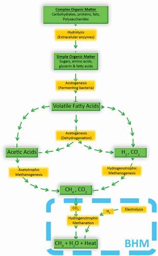 Figure 3. CH4 formation through anaerobic digestion and biological hydrogen methanation.