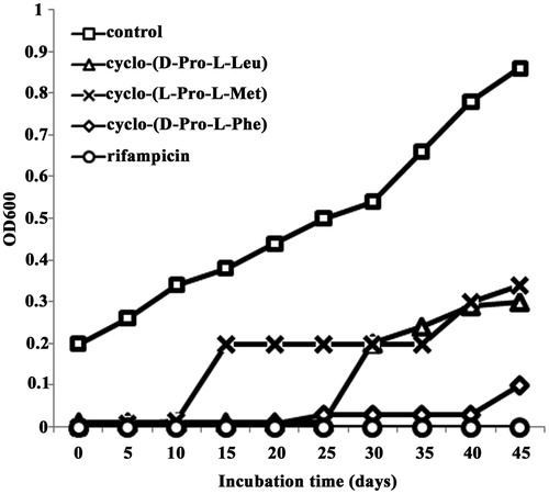 Figure 1. Growth of M. tuberculosis in Middlebrook 7H9 broth supplemented with the three active cyclic dipeptides or rifampicin at their MIC concentration.
