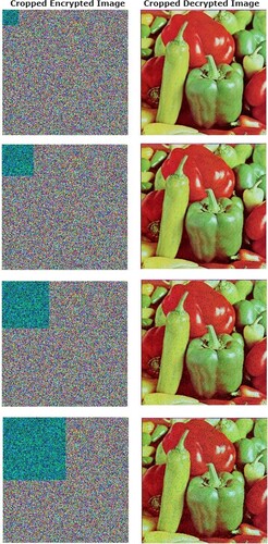 Figure 12. Cropping attack on Pepper image.