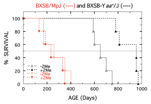 Figure 4 Longevity of BXSB-Yaa+/J (shown in black) and BXSB/MpJ (shown in red) males not treated (open triangles) or treated with 10−2 M 2-Me starting at 50 days (closed triangles). Five mice per treatment.