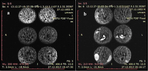 Figure 1. Proton density weighted SE images of cakes with different formulations. (a) Cakes with different oil content. Top: High oil cake, middle: Low oil cake, bottom: Control cake. (b) Cakes with peanut/raisin. Top: Control cake, middle: Raisin cake, bottom: Peanut cake. *Cakes in the same row are replicates.