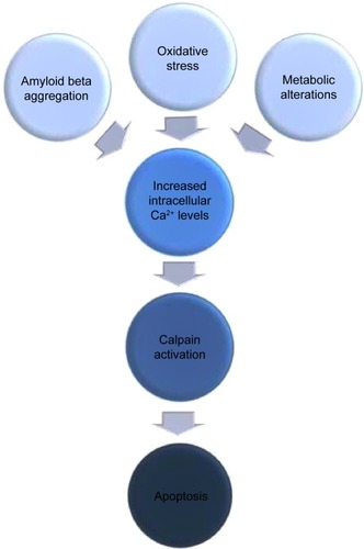 Figure 1 Schematic illustration of calpain-mediated apoptotic progression of neurons as a result of different neurodegenerative stimuli.