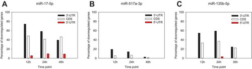 Figure 2. Time-dependent occurrence of the seed sequences following the overexpression of miR-17-5p (a), miR-517a-3p (b) and miR-135b-5p (c). Seed sequence presence and localization within the transcript were determined as described in Materials and Methods. Data are provided as a percentage of all the experimentally determined downregulated genes, transcripts of which possess respective seed sequence complements for miR-17-5p (‘GCACUUU’), miR-517a-3p (‘UGCACGA’) and miR-135b-5p (‘AAGCCAU’).