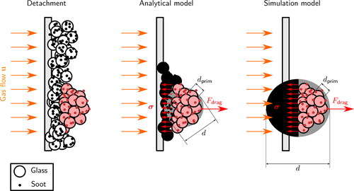 Figure 2. Schematic picture of the agglomerate detachment from the fiber together with the analytical model reduction and the model used in the simulations. The black regions in the models represent the part of the deposited structure that will remain at the fiber after detachment has occurred. In the case of the simulation model this region can theoretically extend further along the fiber, but because those particles would not contribute to the adhesive force of the detaching structure they have been omitted in the figure. The gray regions (sphere in the analytical model, half sphere in the simulation) are the approximations of the detaching red particle structure. Both models only consider forces acting on those approximations.