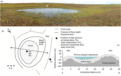 Fig. 3  Monitored site Kyt-01 covered an area of approximately 20×30 m; its central depression accommodated an 11.5×13.5 m wide intrapolygon pond. A boggy moss–sedge zone, polygon walls and frost cracks completely enclosed the pond. The polygon rims rose 0.3–0.4 m above the pond water table. The thaw depth below the pond centre was 40–58 cm while it was 19–24 cm at the polygon rims. (a) Photograph of monitored pond Kyt-01; an arrow indicates the position of the data sensors in the pond centre. View towards the east. Buildings in the background belong to the Kytalyk field station. (b) Schematic top view of the monitoring site with location of the data sensors. Active layer and ground surface elevation were measured along the A–B transect at 1-m resolution. (c) Schematic elevation profile along the A–B transect as measured on 26 August 2011. Zero on the vertical axis indicates the pond water level.