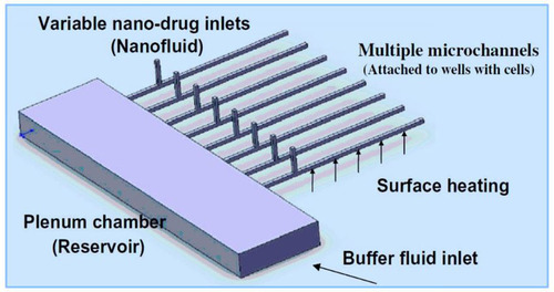 Figure 1 Nano delivery system with eight micro-channels