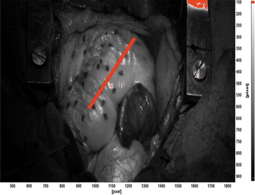 Figure 1. Speckle patterns applied to the two cases used in this work