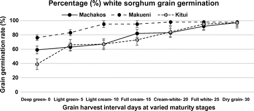 Figure 2. Site grain germination performance at the stages of light-cream, full cream, cream white and full white.