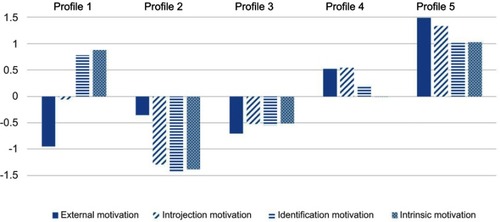Figure 2 Groups of work motivations from LPA (Study 2).