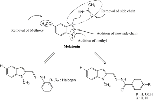 Figure 1.  Parts of the MLT molecule modified to develop new indole-based MLT analogue compounds. MLT, melatonin.
