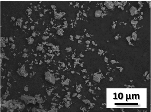 Fig. 7. SEM images of the MIN-U-SIL 10 quartz dust.[Citation16]