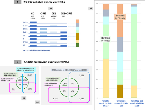 Figure 7. Benchmarking of 23,737 reliable exonic circRNAs and additional exonic circRNAs.