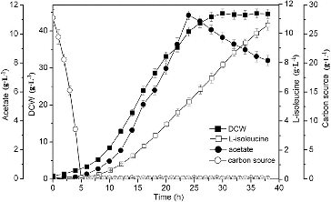 Figure 5. L-isoleucine fed-batch fermentation by E. coli TRFP with glucose-stat feeding.